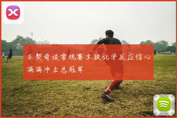 东契奇谈常规赛末段化学反应信心满满冲击总冠军