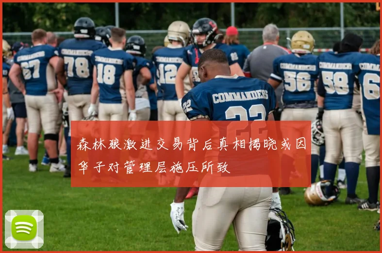 森林狼激进交易背后真相揭晓或因华子对管理层施压所致